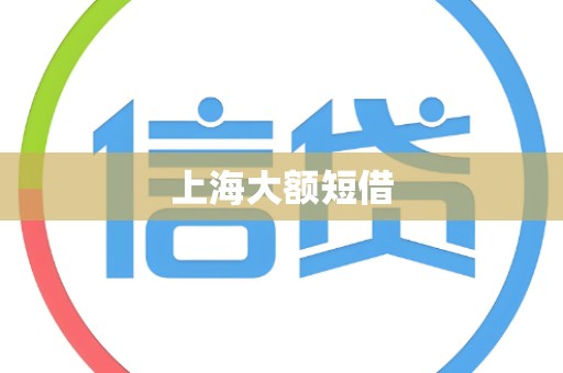 上海大额短借