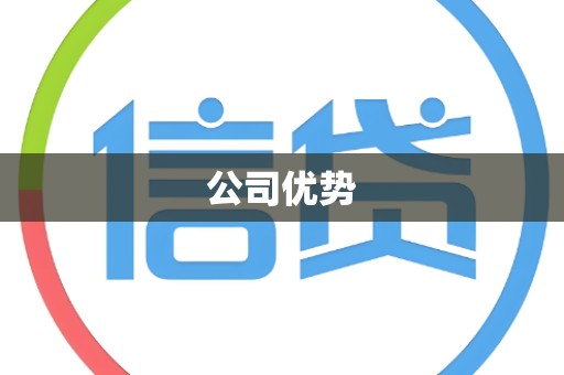 公司优势 公司优势