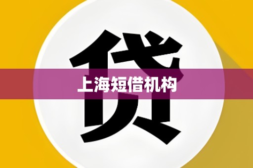 上海短借机构