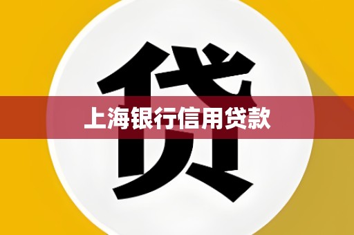 上海银行信用贷款